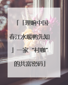 「理响中国·春江水暖鸭先知」一家“村咖”的共富密码