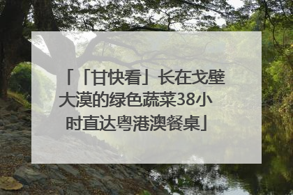 「甘快看」长在戈壁大漠的绿色蔬菜38小时直达粤港澳餐桌