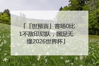「世预赛」客场0比1不敌印尼队，国足无缘2026世界杯