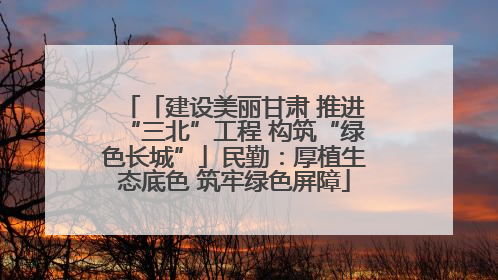 「建设美丽甘肃 推进“三北”工程 构筑“绿色长城”」民勤：厚植生态底色 筑牢绿色屏障