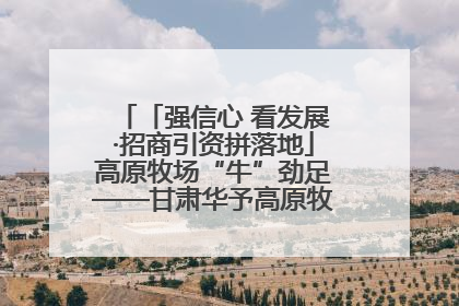 「强信心 看发展·招商引资拼落地」高原牧场“牛”劲足——甘肃华予高原牧场高标准奶牛肉牛养殖项目一线见闻