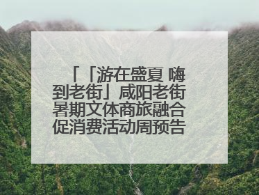 「游在盛夏 嗨到老街」咸阳老街暑期文体商旅融合促消费活动周预告来了！