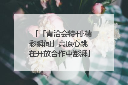 「青洽会特刊·精彩瞬间」高原心跳 在开放合作中澎湃