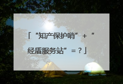 “知产保护哨”+“经盾服务站”=？