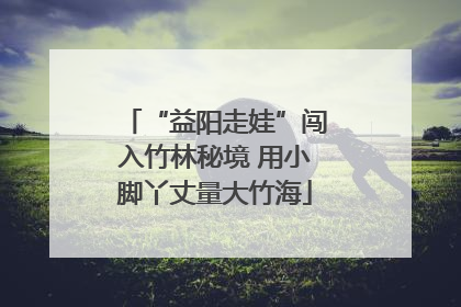 “益阳走娃”闯入竹林秘境 用小脚丫丈量大竹海