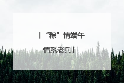 “粽”情端午 情系老兵