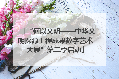 “何以文明——中华文明探源工程成果数字艺术大展”第二季启动