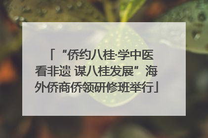 “侨约八桂·学中医 看非遗 谋八桂发展”海外侨商侨领研修班举行