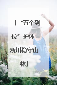 “五个到位”护体 淅川稳守山林