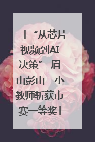 “从芯片视频到AI决策” 眉山彭山一小教师斩获市赛一等奖