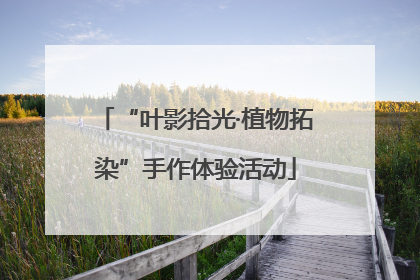 “叶影拾光·植物拓染”手作体验活动