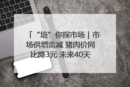 “培”你探市场｜市场供增需减 猪肉价同比降3元 未来40天便宜猪肉敞开吃