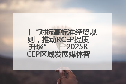 “对标高标准经贸规则，推动RCEP提质升级”——2025RCEP区域发展媒体智库论坛举行专题对话