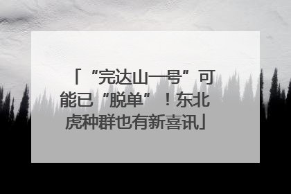 “完达山一号”可能已“脱单”！东北虎种群也有新喜讯