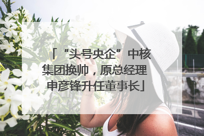 “头号央企”中核集团换帅，原总经理申彦锋升任董事长