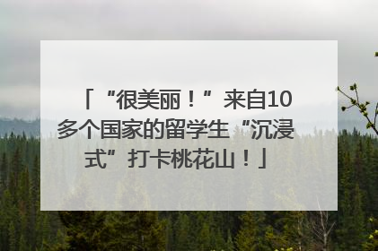 “很美丽！”来自10多个国家的留学生“沉浸式”打卡桃花山！