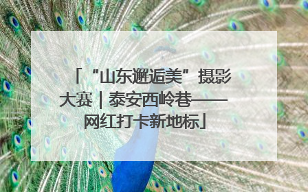 “山东邂逅美”摄影大赛｜泰安西岭巷——网红打卡新地标
