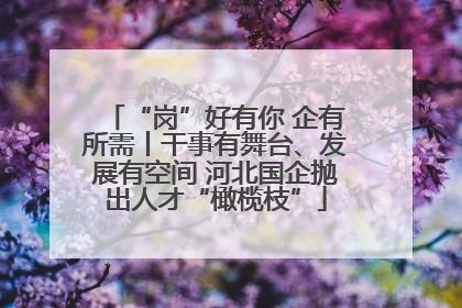 “岗”好有你 企有所需丨干事有舞台、发展有空间 河北国企抛出人才“橄榄枝”