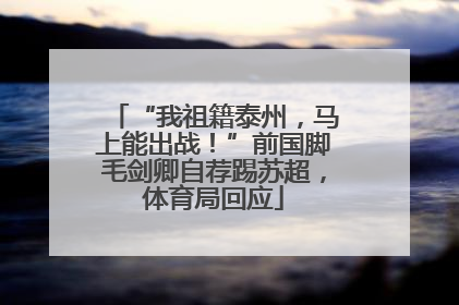 “我祖籍泰州，马上能出战！”前国脚毛剑卿自荐踢苏超，体育局回应