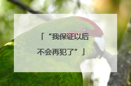 “我保证以后不会再犯了”