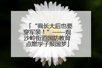 “我长大后也要穿军装！”——观沙岭街道国防教育点燃学子报国梦