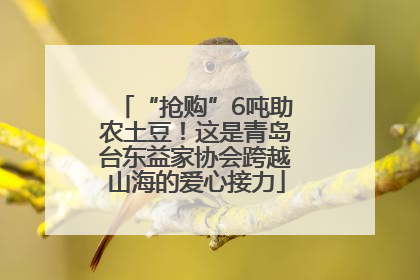 “抢购”6吨助农土豆！这是青岛台东益家协会跨越山海的爱心接力