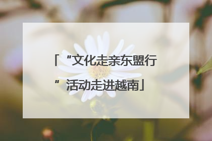 “文化走亲东盟行”活动走进越南