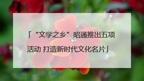 “文学之乡”昭通推出五项活动 打造新时代文化名片