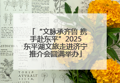 “文脉承齐鲁 携手赴东平”2025东平湖文旅走进济宁推介会圆满举办