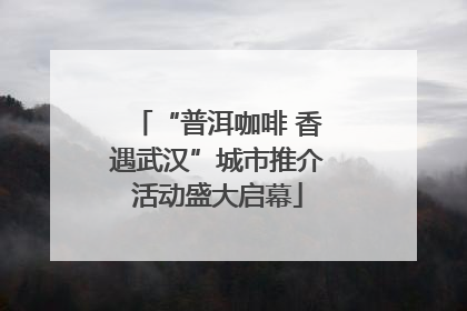 “普洱咖啡 香遇武汉”城市推介活动盛大启幕