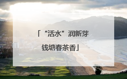 “活水”润新芽 钱塘春茶香
