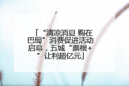 “清凉消夏 购在巴蜀”消费促进活动启幕，五城“票根+”让利超亿元