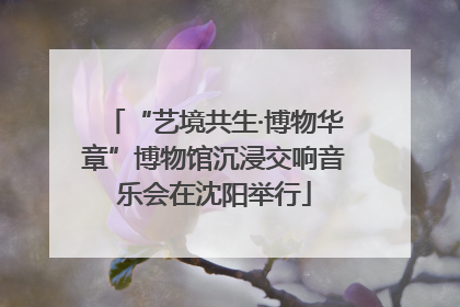 “艺境共生·博物华章”博物馆沉浸交响音乐会在沈阳举行