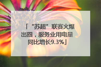 “苏超”联赛火爆出圈，服务业用电量同比增长9.3%