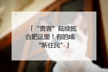 “贵客”陆续抵合肥这里！有的成“新住民”