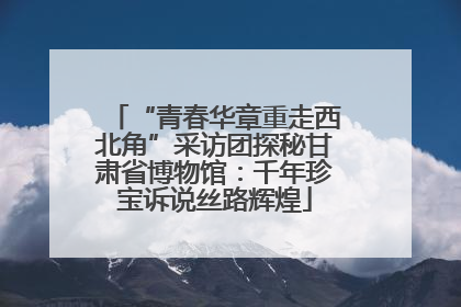 “青春华章重走西北角”采访团探秘甘肃省博物馆：千年珍宝诉说丝路辉煌