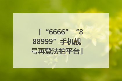 “6666”“888999”手机靓号再登法拍平台
