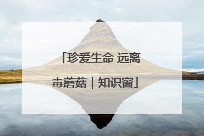 珍爱生命 远离毒蘑菇｜知识窗