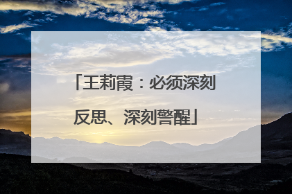 王莉霞：必须深刻反思、深刻警醒