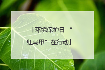 环境保护日 “红马甲”在行动