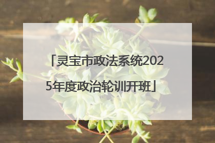 灵宝市政法系统2025年度政治轮训开班