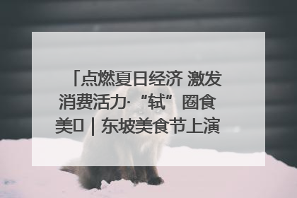 点燃夏日经济 激发消费活力·“轼”圈食美⑪｜东坡美食节上演“文化满汉全席”