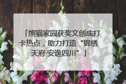 熊猫家园获奖文创成打卡热点，助力打造“锦绣天府·安逸四川”