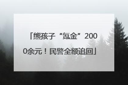 熊孩子“氪金”2000余元！民警全额追回