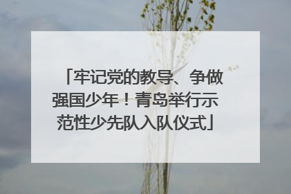 牢记党的教导、争做强国少年！青岛举行示范性少先队入队仪式