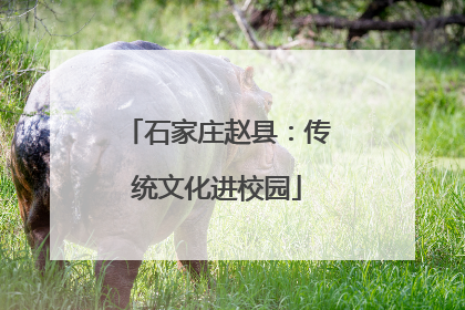 石家庄赵县：传统文化进校园