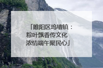 睢阳区坞墙镇：粽叶飘香传文化 浓情端午聚民心