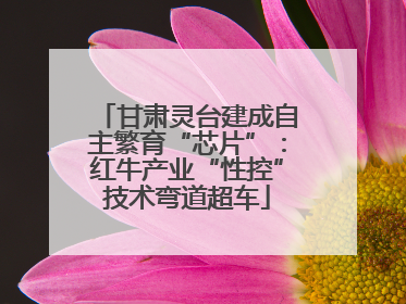 甘肃灵台建成自主繁育“芯片”：红牛产业“性控”技术弯道超车