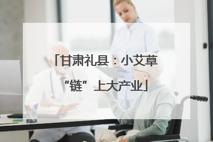 甘肃礼县：小艾草“链”上大产业