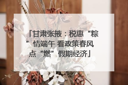甘肃张掖：税惠“粽”情端午 看政策春风点“燃”假期经济